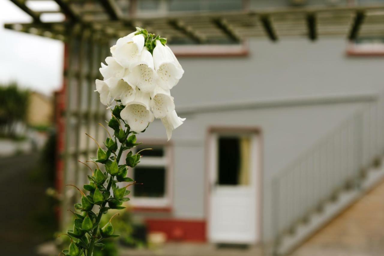 에니스크론 Eagle Heights B&B 외부 사진